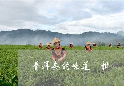 普洱茶的味道 甜/2023041076946